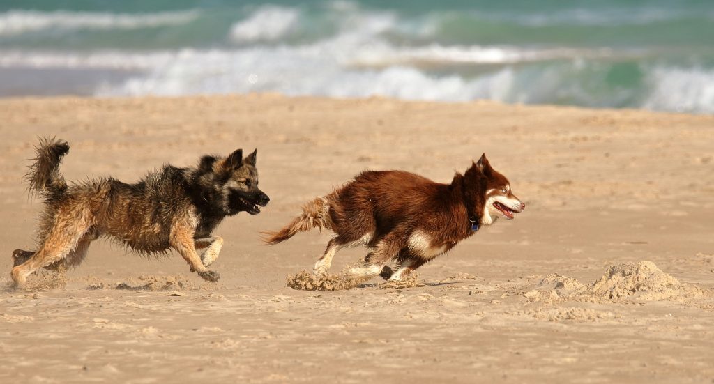 verano en la playa