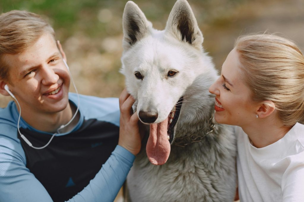 planes pet-friendly