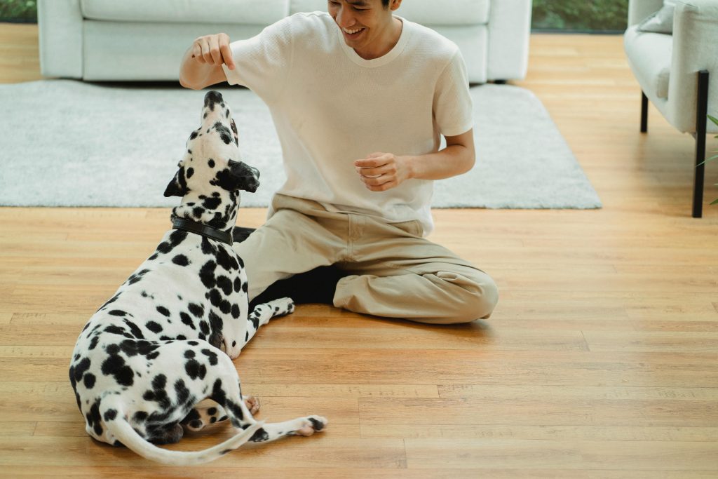 fortalecer el vínculo con tu mascota