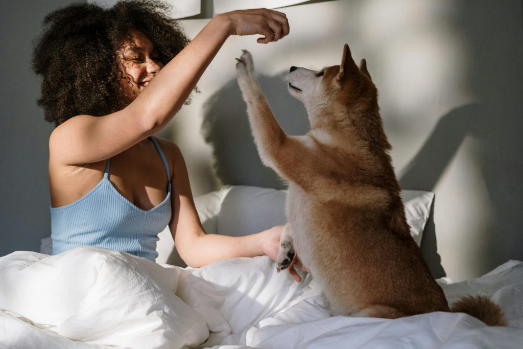 perro en la cama